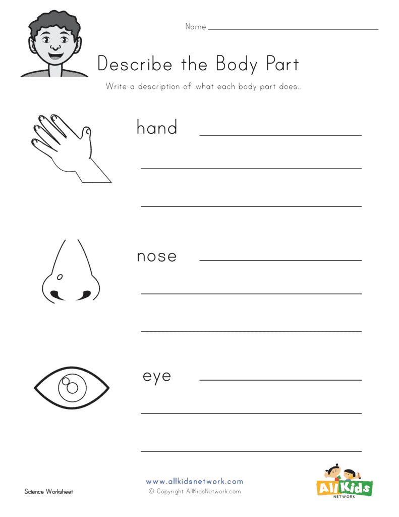 FREE Human Body Systems Labeling Worksheets — Tiaras \u0026 Tantrums, image size:791x1024